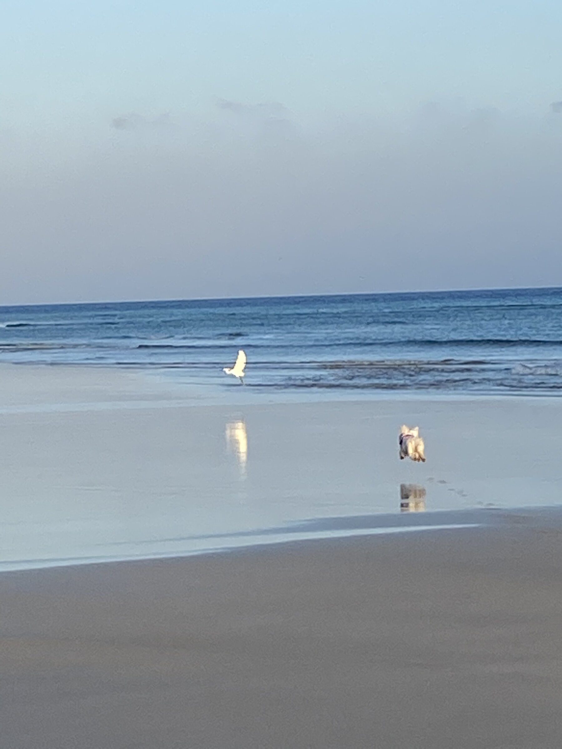 Strand & Düne 5