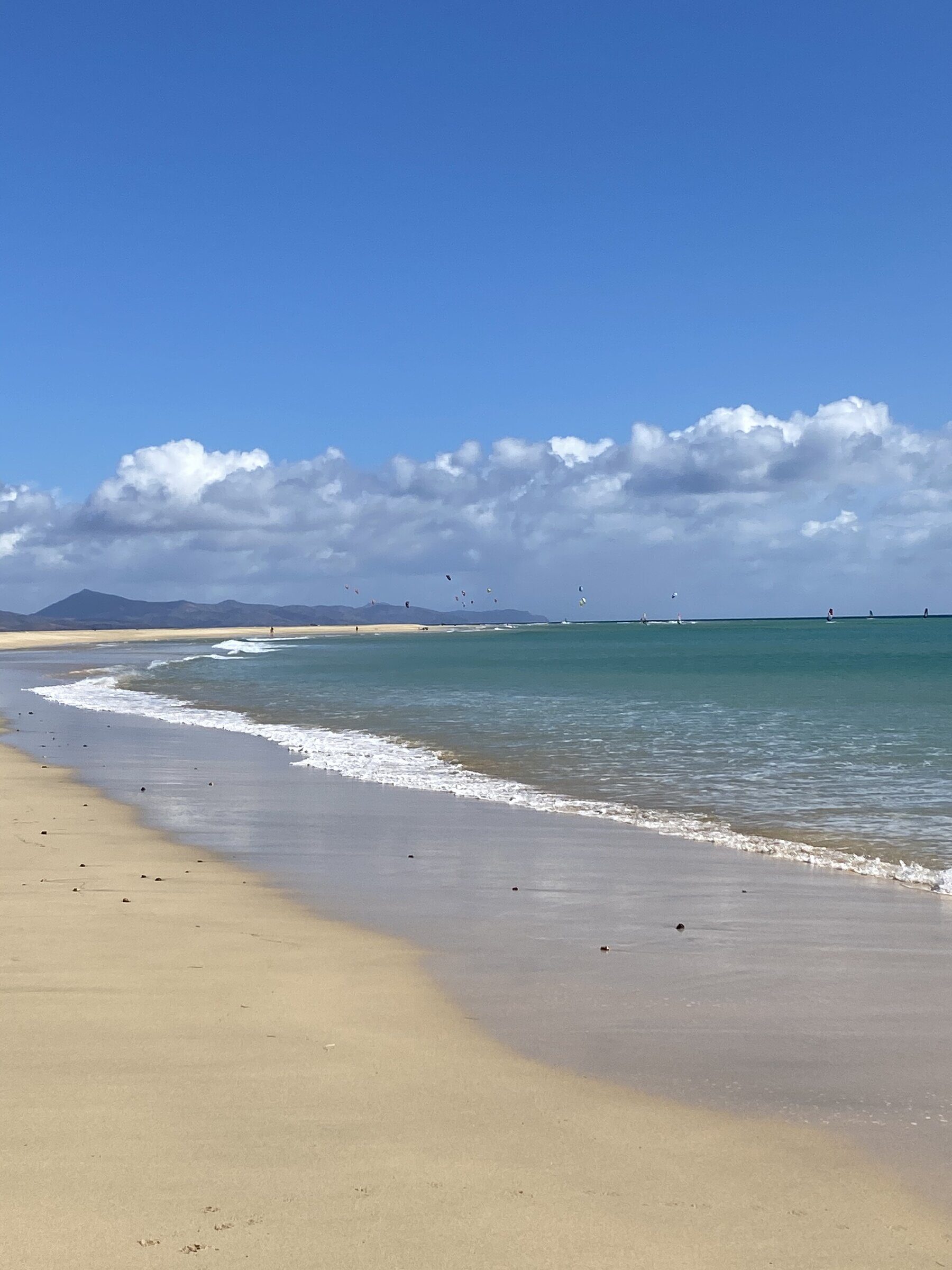 Strand & Düne 3